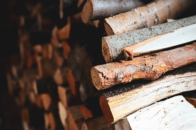 dřevo na vytápění